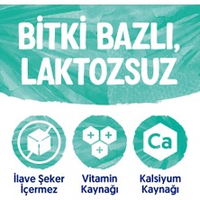 Alpro Hindistan Cevizi Sütü 2 x 1 lt Laktozsuz Bitkisel Vegan Süt