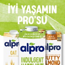 Alpro Fındık Sütü 2 x 1 lt Laktozsuz Bitkisel Vegan Süt