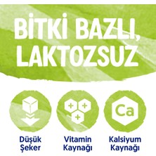 Alpro Fındık Sütü 2 x 1 lt Laktozsuz Bitkisel Vegan Süt