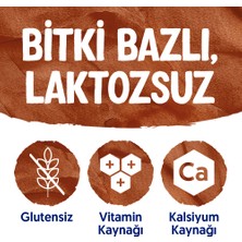 Alpro Bitter Çikolata Badem Içeceği 2 x 1 lt Laktozsuz Bitkisel Vegan Süt