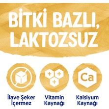 Alpro Yulaf & Badem Içeceği 2 x 1 lt Laktozsuz Bitkisel Vegan Süt