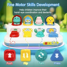 Jnby Bebek Pop Up Oyuncak Hayvan Peekaboo Anahtar Düğme Kutusu Hazine Sürpriz Kutusu Saklambaç Oyunu Bebek Eğitici Montessori Oyuncakları Oyunları (Yurt Dışından)