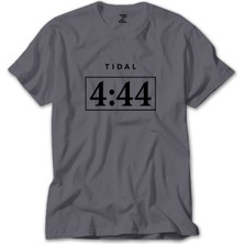 Z zepplin Jay Z 444 Gri Tişört
