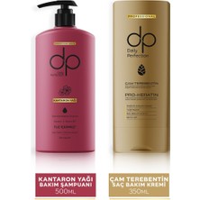 dp Daily Perfection Şampuan Kantaron Yağı  500 ml + Saç Bakım Kremi Çam Terebentin  350 ml