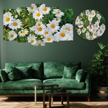 Zevahir Mobilya Dekorasyon Zevahir 5 Parça Mdf Beyaz Papatya Tablo Ve Mdf Saat Kombin