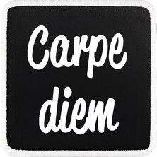V1 Carpe Diem - 1 Kod Logolu Unisex Siyah-Beyaz Bench (Patch)