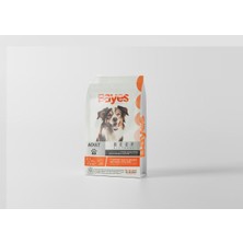 Bayes Premıum Yetişkin Köpek Maması Biftekli 2,2 kg