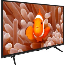 Arçelik A32 D 694 B HD 32" 82 Ekran Uydu Alıcılı Android Smart LED TV