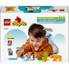 LEGO® DUPLO® Vahşi Hayvan Aileleri: Penguenler ve Aslanlar 10442 - 2 Yaş & Üzeri Çocuklar için Eğitici Oyuncak Yapım Seti (10 Pr)