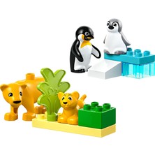LEGO® DUPLO® Vahşi Hayvan Aileleri: Penguenler ve Aslanlar 10442 - 2 Yaş & Üzeri Çocuklar için Eğitici Oyuncak Yapım Seti (10 Pr)
