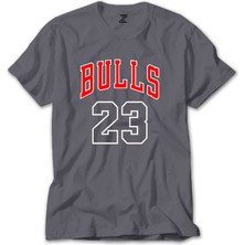 Z zepplin Chicago Bulls 23 Gri Tişört