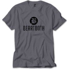 Z zepplin Beartooth Classic Gri Tişört