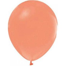 Pastel Somon Balon 10'lu Paket