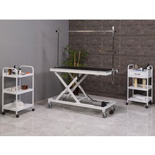 Labortech Veteriner Muayene ve Pet Bakım Masası-Large | LABORTECH-6012