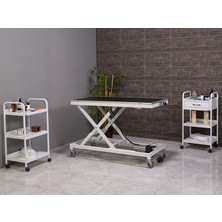 Labortech Veteriner Muayene ve Pet Bakım Masası-Large | LABORTECH-6012