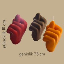 Civetta Dogal Dekoratif Cikolata Gül Vanilya Kokulu  Nah Modeli Soyawa x  Mum