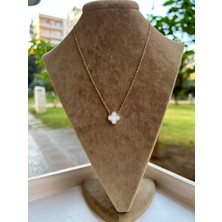 Moonjy Çelik Gold Beyaz Mineli 4 Yapraklı Yonca Kolye