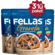 Fellas Granola - Yaban Mersini & Kuruyemiş 200g - 3'lü Paket