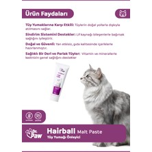 Dr. Paw - Hairball Malt Paste Kediler .çin Glütensiz ve Şekersiz Tüy Yumağı Önleyici 100 gr