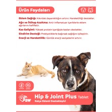 Dr. Paw - Hip & Joint Plus Büyük Irk Köpekler için Kalça ve Hareket Destekleyici Çiğnenebilir Tablet (60 adet, 120 gr)