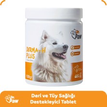 Dr. Paw Derma H Plus Büyük Irk Köpekler için Glütensiz ve Şekersiz Tüy ve Cilt Sağlığı Destekleyici Çiğnenebilir Tablet (60 Tablet, 120 gr)