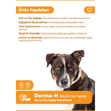 Dr. Paw Derma H Plus Büyük Irk Köpekler için Glütensiz ve Şekersiz Tüy ve Cilt Sağlığı Destekleyici Çiğnenebilir Tablet (60 Tablet, 120 gr)