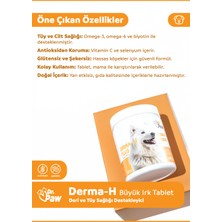 Dr. Paw Derma H Plus Büyük Irk Köpekler için Glütensiz ve Şekersiz Tüy ve Cilt Sağlığı Destekleyici Çiğnenebilir Tablet (60 Tablet, 120 gr)