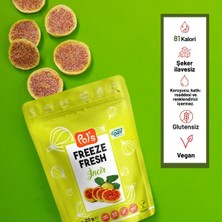 Pol's Freeze Fresh İncir 20 g x 7 Adet Freeze Dry Dondurularak Kurutulmuş Meyve