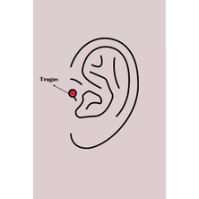 Clariss 316L Çelik Gümüş Renk Pembe Zirkon Taşlı Kelebek Tragus Piercing