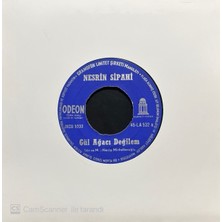 Nesrin Sipahi – Gül Ağacı Değilem 45'lik Plak