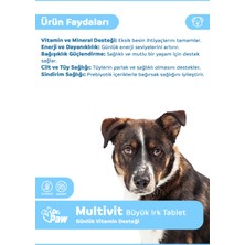 Dr. Paw - Multivit Plus Büyük Irk Köpekler için Günlük Vitamin Takviyesi Çiğnenebilir Tablet (60 adet, 120 gr)