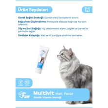 Dr. Paw - Multivit Malt Paste Kediler için Glütensiz ve Şekersiz Günlük Vitamin (Multivitamin) Takviyesi 100 gr