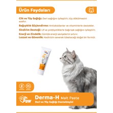 Dr. Paw Derma H Malt Paste - Kediler için Tüy Dökülmesini Azaltan Glütensiz ve Şekersiz Deri ve Tüy Sağlığı Destekleyici 75 ml