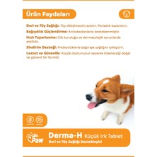 Dr. Paw - Derma H Plus Küçük Irk Köpekler için Glütensiz ve Şekersiz Tüy ve Cilt Sağlığı Destekleyici Çiğnenebilir Tablet (60 Adet, 90 Gr)