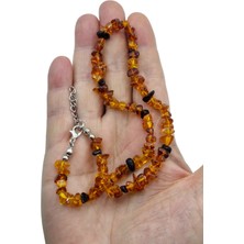 Pozitif Doğal Taş Hakiki Baltık Kehribarı Kolye 300-3