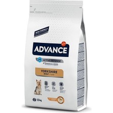 Advance Yorkshire Terrier Tavuklu Yetişkin Köpek Maması 1.5 kg