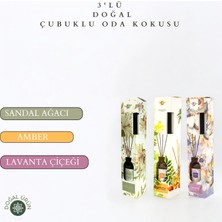 La Melisse Fragrances 3'lü Set Sandal Ağacı, Amber, Lavanta Çiçeği Bambu Çubuklu Doğal Oda Kokusu Reed Diffuser 50 ml