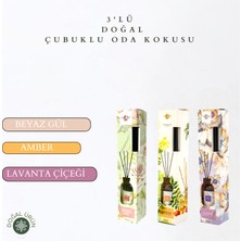 La Melisse Fragrances 3'lü Set Beyaz Gül, Amber, Lavanta Çiçeği Bambu Çubuklu Doğal Oda Kokusu Reed Diffuser 50 ml