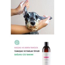Botanivo Köpekler İçin Hassas Şampuan ve Pati Balm Seti | Yumuşak Parlak Tüyler & Bakımlı Patiler | Organik