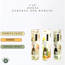 La Melisse Fragrances 3'lü Set Vanilya Çiçeği, Amber, Sandal Ağacı Bambu Çubuklu Doğal Oda Kokusu Reed Diffuser 50 ml