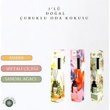 La Melisse Fragrances 3'lü Set Amber, Şeftali Çiçeği, Sandal Ağacı Bambu Çubuklu Doğal Oda Kokusu Reed Diffuser 50 ml