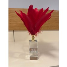 Dekoratif Kristal Kırmızı Tüy Obje