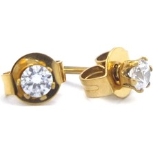 Bz Altın Kaplama Altı Tırnaklı Zirkon Taş Kadın Küpe UNK-780