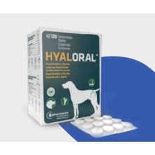 Hyaloral Tablet Köpek ve Kedi (10 Tablet Kutu İçinden)