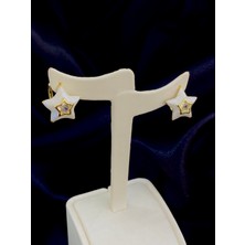 Takı Box Sedefli Yıldız Tasarım Taşlı Gold Küpe