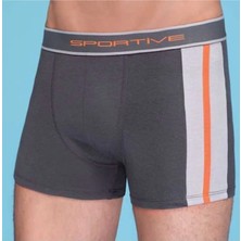 Erkek Modal Boxer 1080