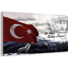 Zevahir Mobilya Dekorasyon Kırılmaz Cam Türk Bayrağı Tablo