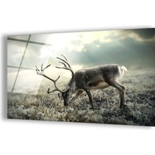 Zevahir Mobilya Dekorasyon Kırılmaz Cam Geyik Tablo