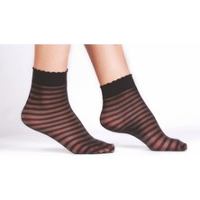 Daymod Zebra Kadın Soket