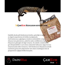 Çamkum Star Topaklanan ve Tozsuz Doğal Kedi Kumu 10 Lt